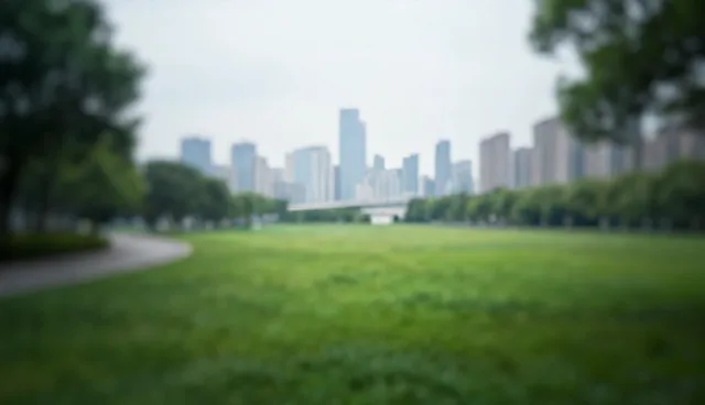 技术培训中线上与线下教学的取舍与趋势